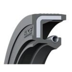 Radial shaft seals